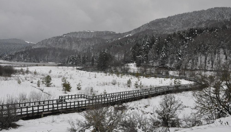Abant'a Mart karı yağdı