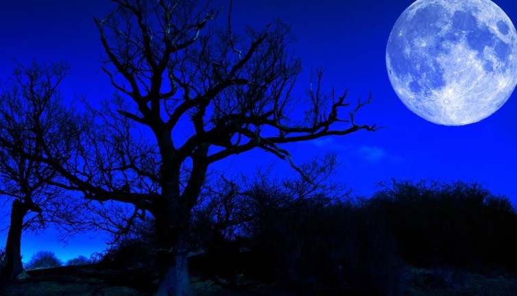 Yine rüyasında gördü. Kassandra seçimlerden önce olacakları açıkladı