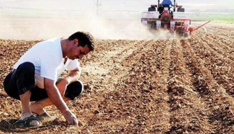 Çiftçiye ‘niye ektin’ cezası geliyor. Şaka değil gerçek