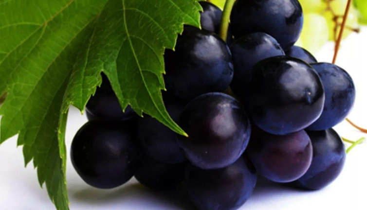 Kadınlar neden siyah üzüm yemeli, hangi hastalığın çaresi