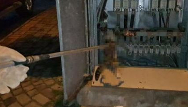 Trafoya kedi girdi sonu kötü oldu