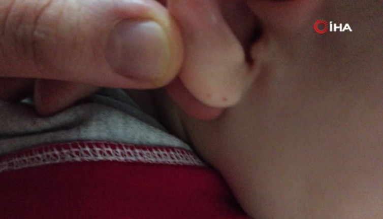 Iğdırlı aile perdenin üzerinde gördü şok üstüne şok yaşadı. Çocukları ağlayınca odaya koştular