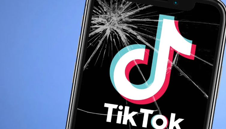 TikTok bir ülkede daha yasaklandı