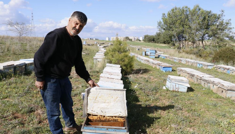 Arıları öldürüp ballarını çaldılar