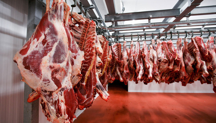 Yerli ve milli iktidardan büyük ithalat. 500 bin sığır ithal edilecek. Hayvan ithalatı 2022'de bitecek denilmişti