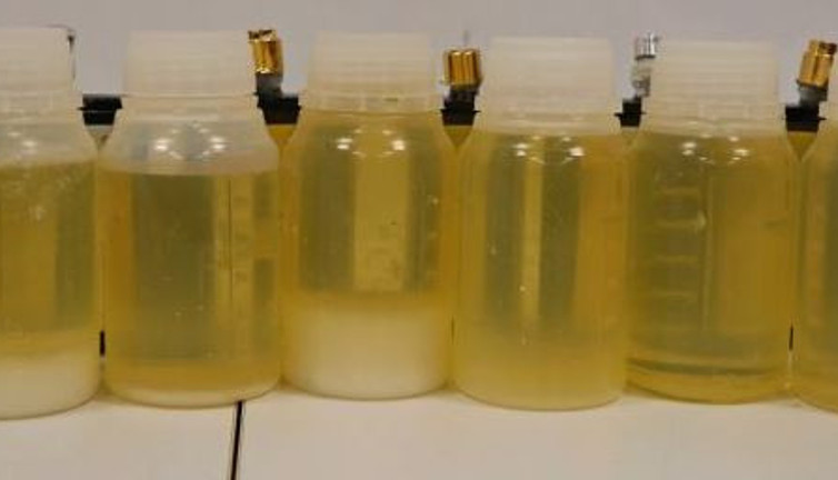 Parfüm şişesinden çıktı. Şok etti