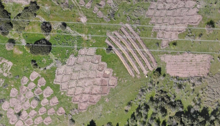 Kuraklığa karşı 'baklava' ve 'hilal' set yöntemleri