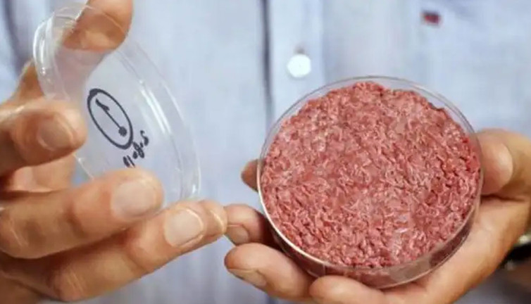 İtalya yapay eti yasaklıyor