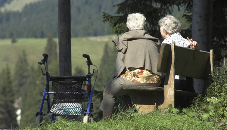 Nane ve biberiye Alzheimer’ın ilacı mı