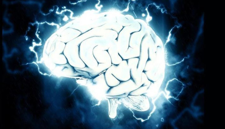 Beyindeki o mekanizmayı tespit ettiler. Bilim insanları fareler üzerinde denedi