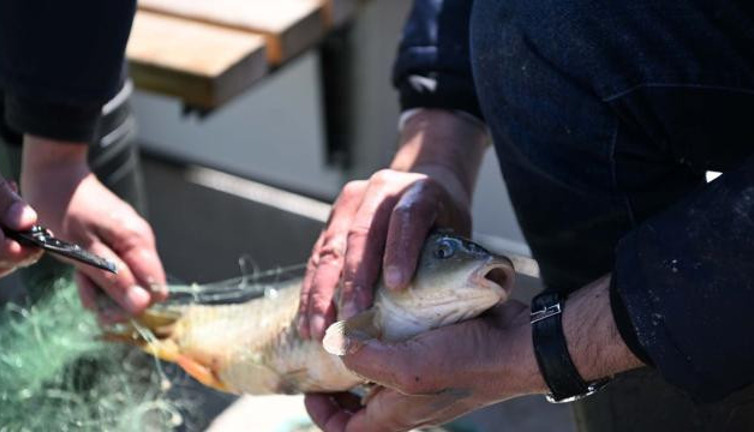 Yasağa uymayıp balık avlayanlara ceza kesildi
