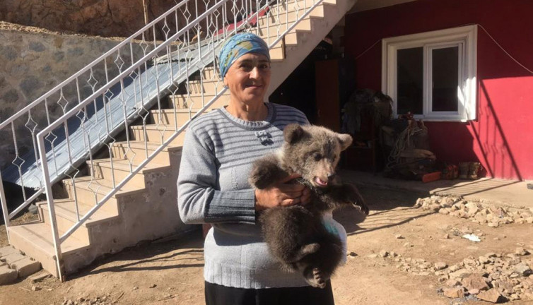 Bebek bezli yavru ayıya evinde bakan köylü: Çocuktan farkı yok