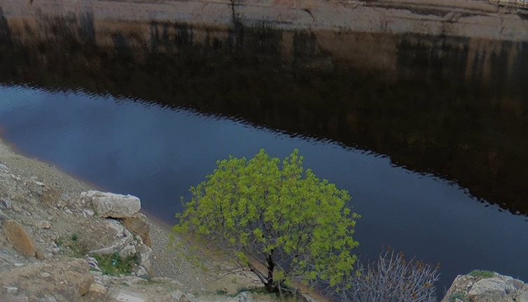 Çayın rengi simsiyah oldu! Ekipler alarm durumuna geçti