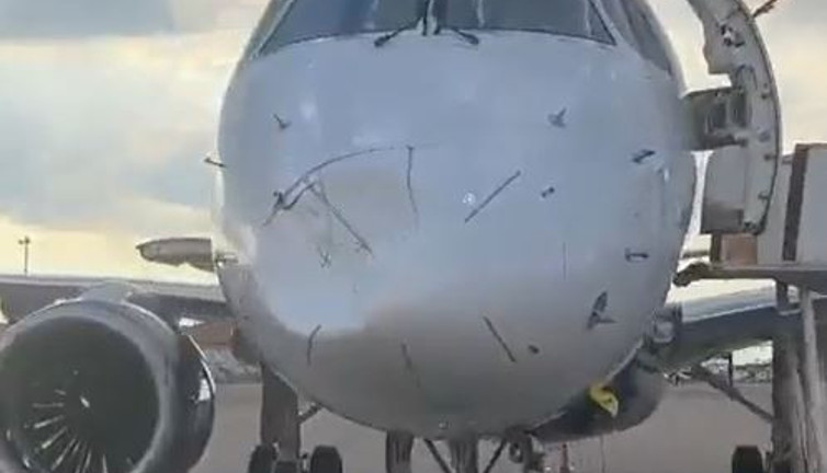 Kuş çarpan uçağın burnu bu hale geldi