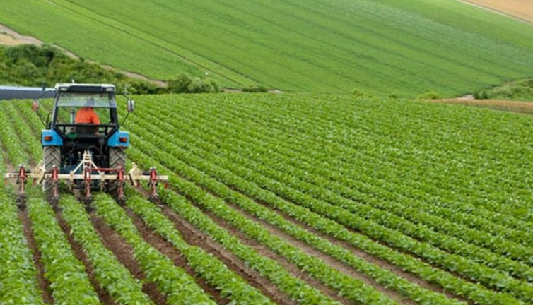 Kırsal kalkınma projelerine hibe desteği