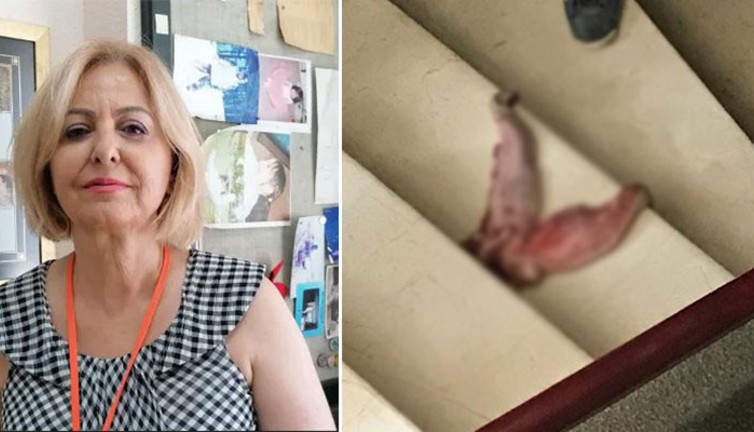 Ofisinin önüne 'dana dili' bırakılmıştı. Prof. Esin Şenol’u tehdit davasında karar açıklandı