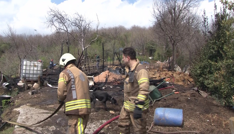 Beykoz’da ahır yandı: İki hayvan telef oldu