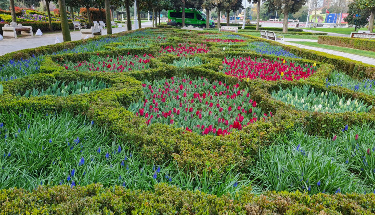 İstanbul'da lale zamanı geldi. Görsel şölenler olacak