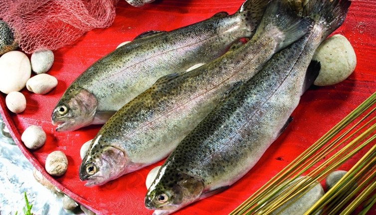 Türk somonu pazar çeşitliliğini artırıyor. 22 ülkeye ihrac ediliyor