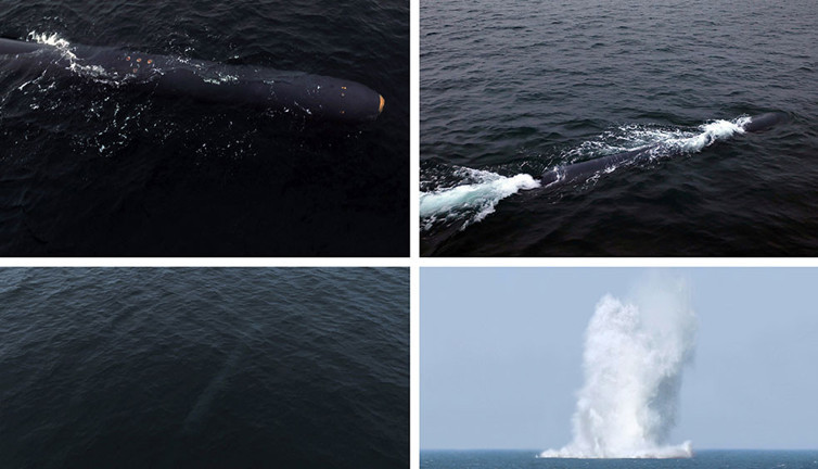 Kuzey Kore'den nükleer saldırı denemesi