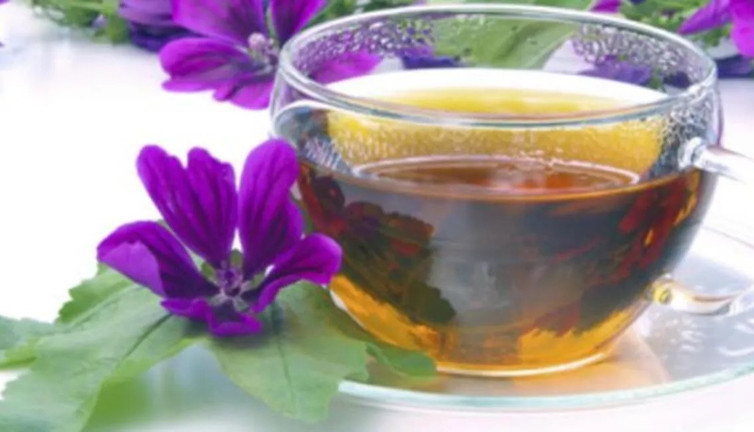 Burun tıkanıklığını gideren dikkat çeken ot ortaya çıktı