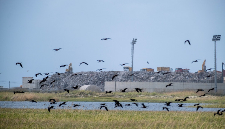 Hatay'daki kuş cennetine molozları yığdılar. Yahu siz ne iş bilmez insanlarsınız?