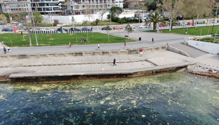 Marmara'da endişelendiren görüntü. ‘Deniz salyası’ geri mi dönüyor