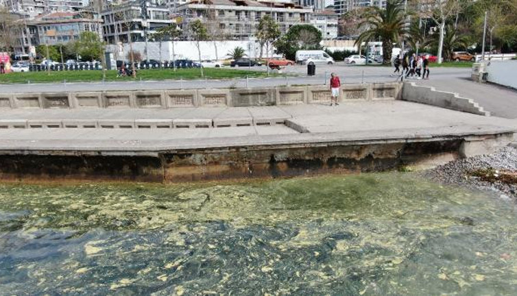 Marmara Denizi'nde görüldü. Kabus hortladı