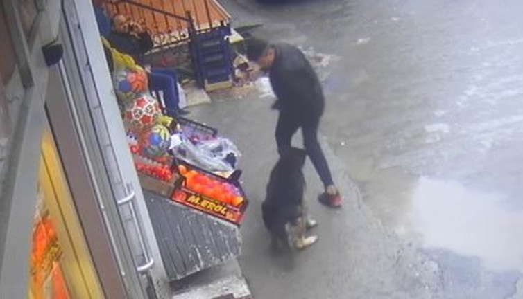 Isıran köpeğe tekmeli dayak