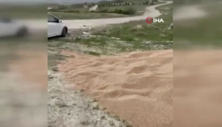 Boş araziye 50 ton buğday döküldü