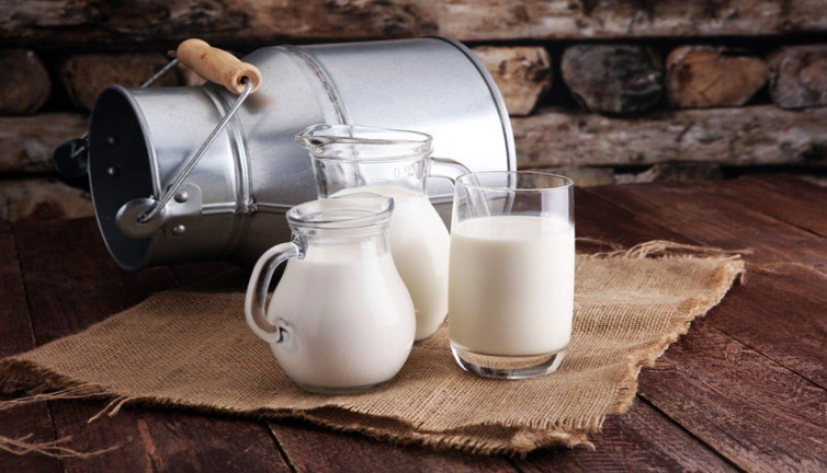 Artık süt üretmek için ineğe gerek kalmadı: Küresel bir devrim