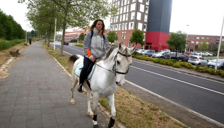 Patronuna kızan kadından ilginç protesto: İşin içine at karıştı