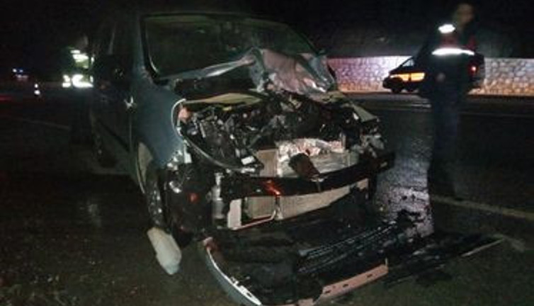 Aracın çarptığı geyik telef oldu: 2 yaralı