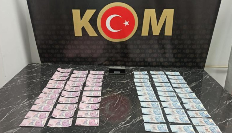 Mantar aramaya gittiği ormanda sahte para buldu