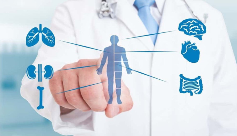 Bağışıklık sistemini güçlendiren ot