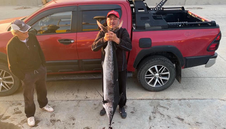 50 kiloluk merlin balığı mızrakla yakalandı