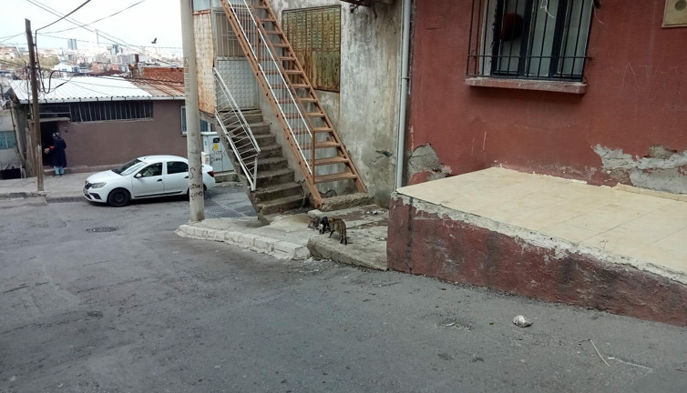 Yine bir kadın cinayeti! Boşanma aşamasındayken kocası tarafından çocuğunun önünde öldürdü