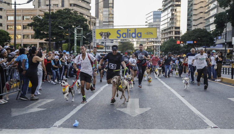 Hayvan sahiplenmeyi teşvik etmek için yarışma düzenlendi