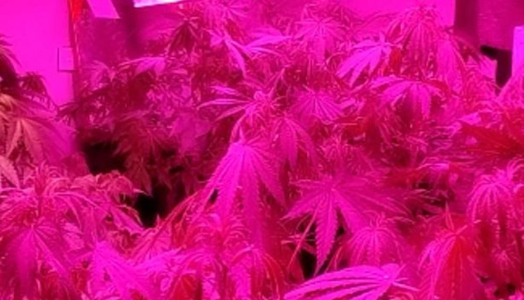 Evini seraya çevirdi