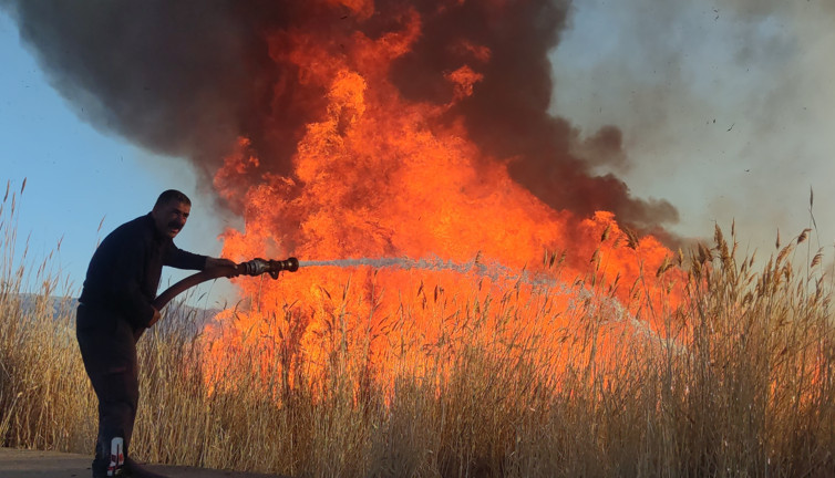 Sazlık 3 saat alev alev yandı