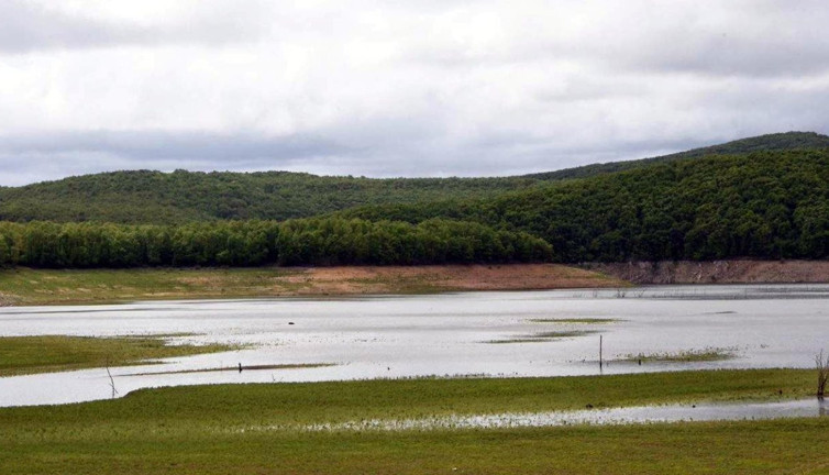 İstanbul'un suyunu karşılayan barajların doluluk oranı arttı