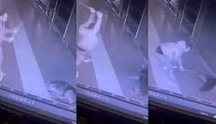 Sokak köpeğini sever gibi yaptı, fırça sapıyla saldırdı