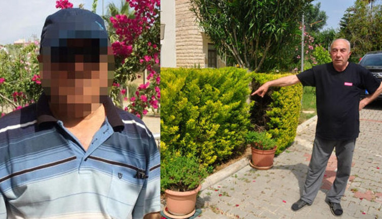 Komşusunun ağaçlarını kesti, 6 yıl hapsi istendi