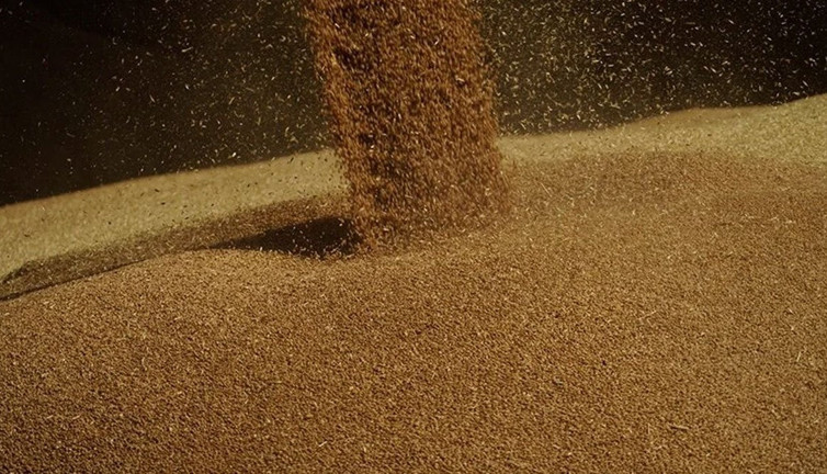 Putin: Bu yıl 55-60 milyon ton tahıl ihraç edeceğiz