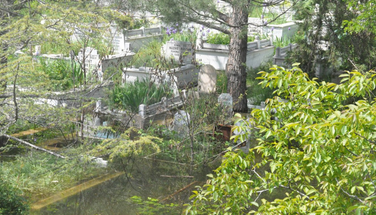 Baraj taştı, mezarlık suya gömüldü! Kurban Bayramı önce yürek yakan manzara