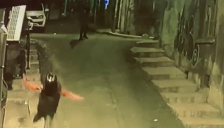 Kasklı genç kaçarken öldürüldü