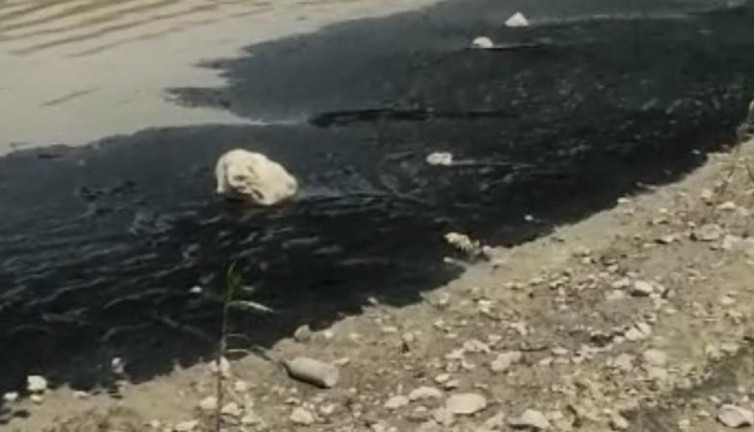 Bursa'da Boğazköy Barajı'nın yüzeyi siyaha büründü