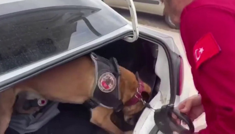 Bagajdaki uyuşturucu narkotik köpeği ‘Millov’ buldu