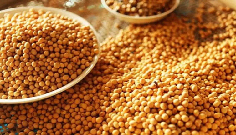 Ölümcül hastalıklara savaş açıyor. Mucize besinin faydaları saymakla bitmiyor