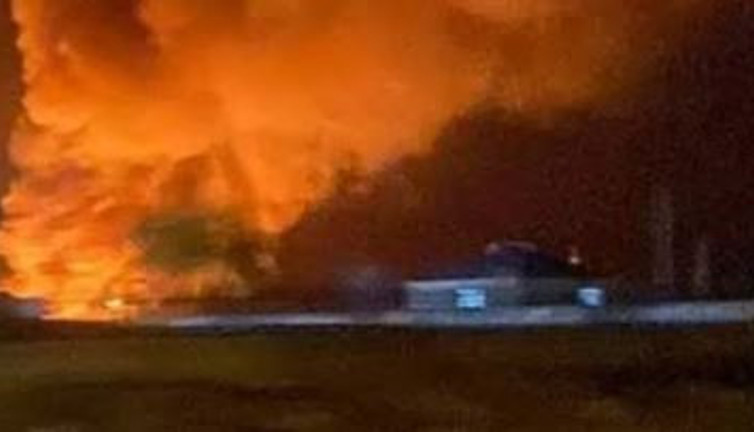 Sazlık yakan adama şok eden ceza